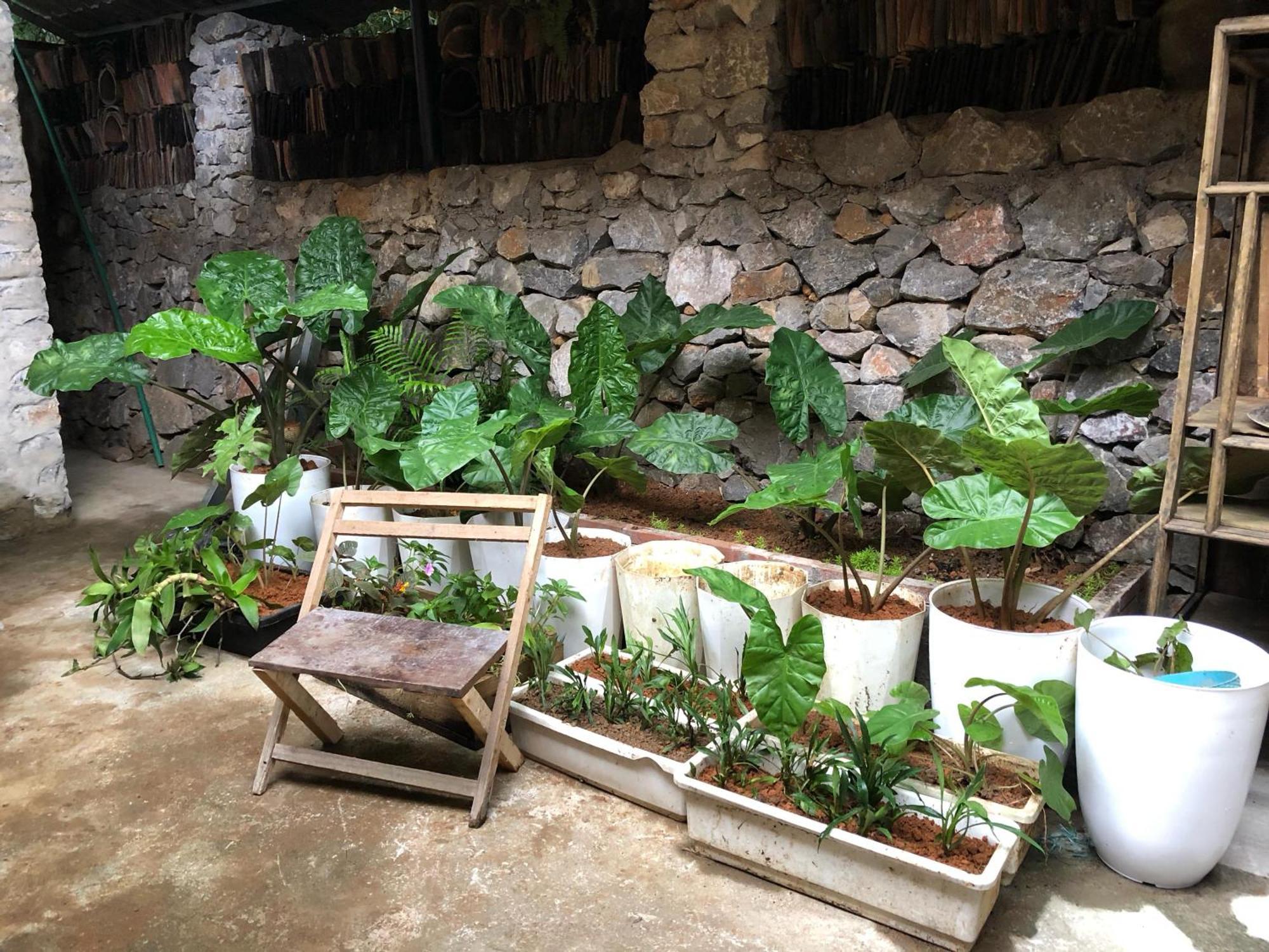 Le Petit Home دونغ فان المظهر الخارجي الصورة