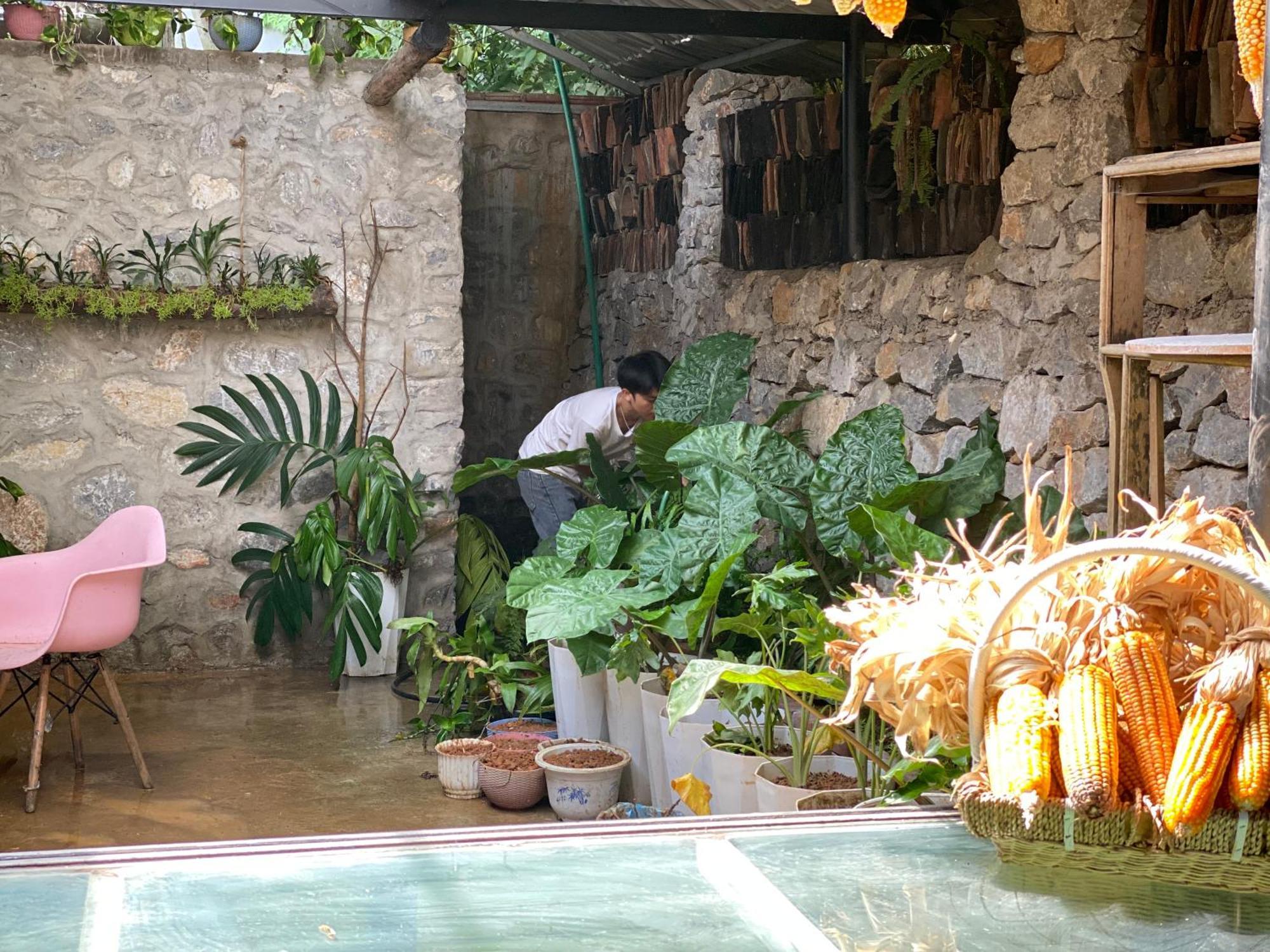 Le Petit Home دونغ فان المظهر الخارجي الصورة
