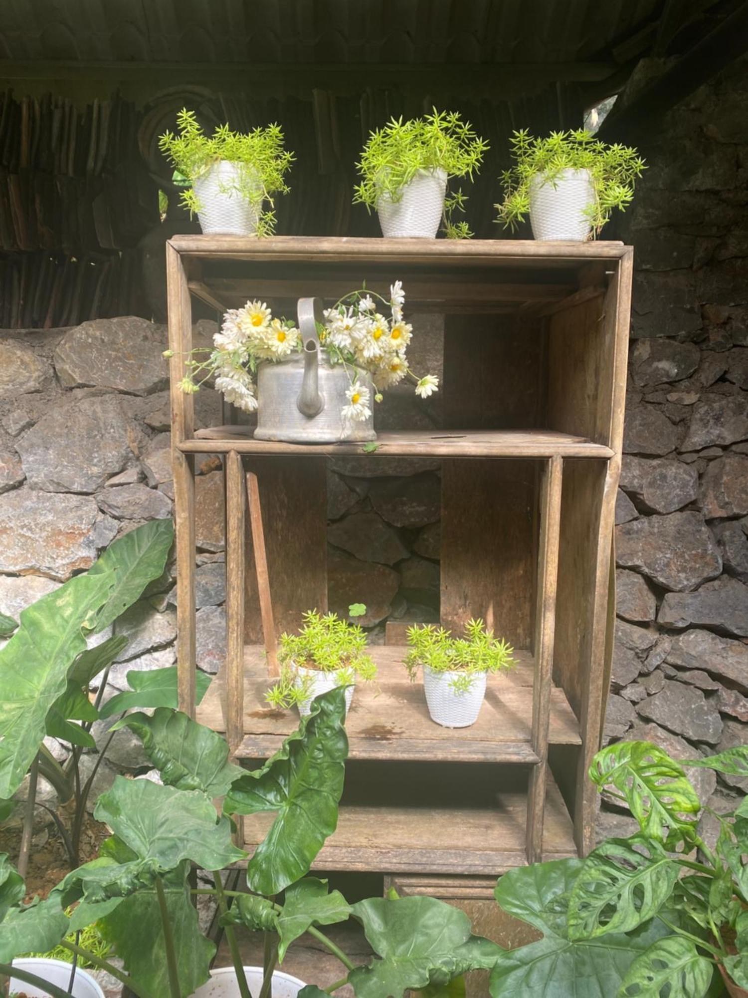 Le Petit Home دونغ فان المظهر الخارجي الصورة